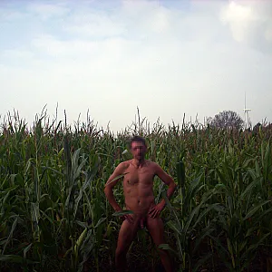 Cornfield gallery image