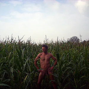 Cornfield gallery image