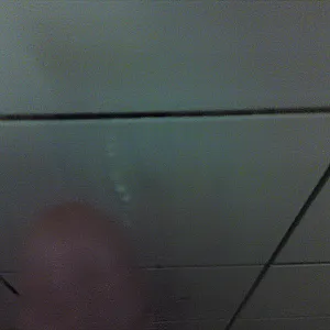 public toilett gallery image