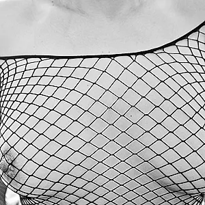 net gallery image