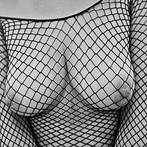 net gallery image