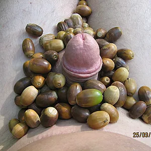 Herbst Galeriebild