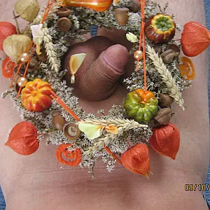 Herbst Galeriebild