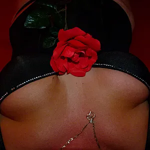 The Rose gallery image