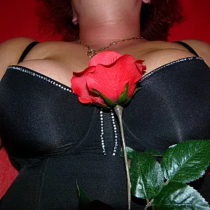 The Rose gallery image