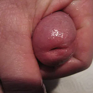 cock II gallery image