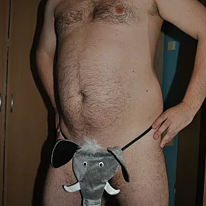 Teddy-Alarm Galeriebild