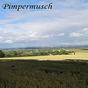outdoors 7 gallery image