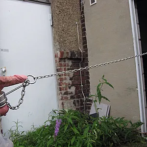 Bullen haben einen Nasenring und werden an der Kette geführt, Männer........... Galeriebild