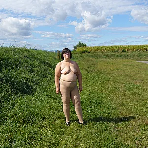 spät sommer Galeriebild