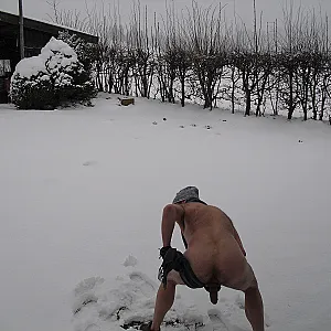 in the snow gallery image