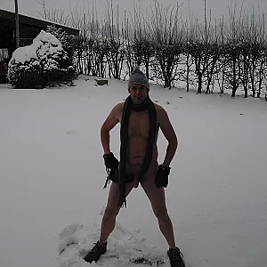 in the snow gallery image