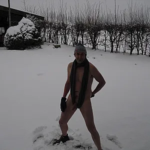 in the snow gallery image