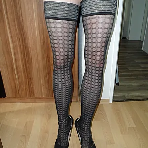 Falke Teil 2 Galeriebild
