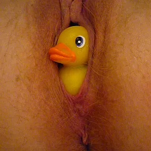 Rubber ducky with you gallery image