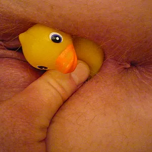 Rubber ducky with you gallery image