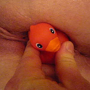 Rubber ducky with you gallery image