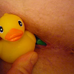 Rubber ducky with you gallery image