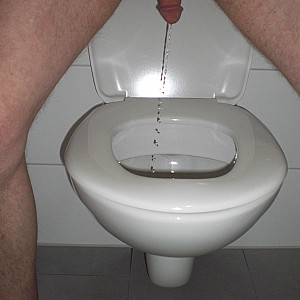 toilet gallery image