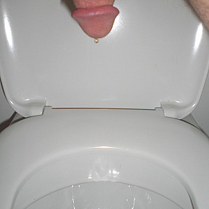 toilet gallery image