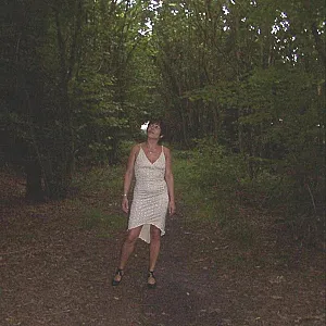 in the forest gallery image