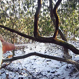 winterspecial gallery image