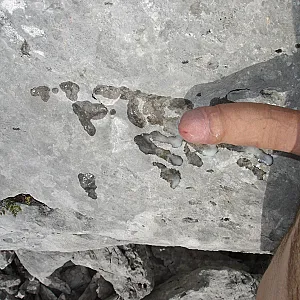 In the mountains gallery image