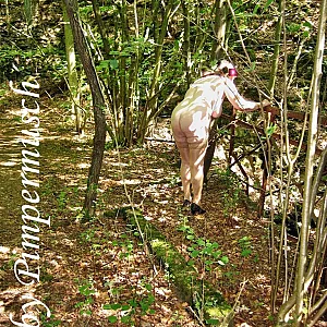 outdoors 3 gallery image