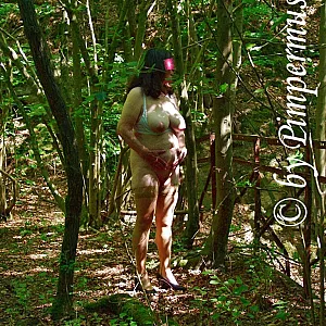 outdoors 3 gallery image