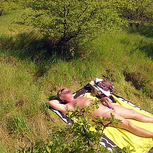 Sonnenbad auf der Liegewiese Galeriebild