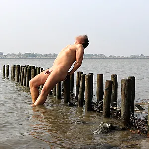Das erste Bild von Switchi's Galerie - Spätsommer an der Elbe