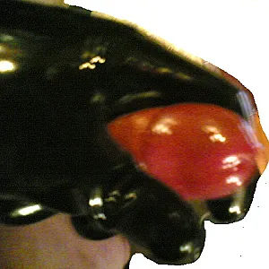 gesammelte werke Galeriebild