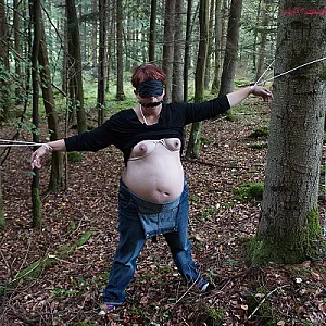 Our forest walk gallery image