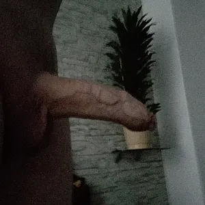 Some views gallery image