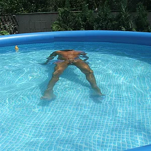 Im Sommer in der Natur Galeriebild