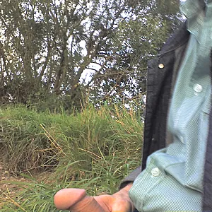 Take a walk gallery image