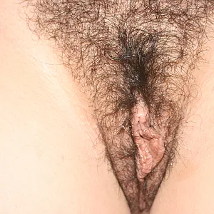 My bush's still there gallery image