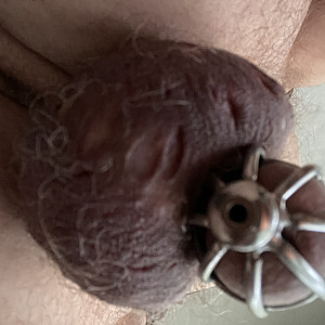 First image of Teddy12mm's Gallery - haunted