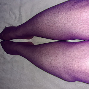 my nylonlegs gallery image