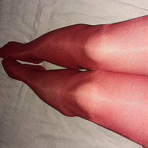 my nylonlegs gallery image