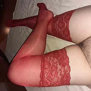 my nylonlegs gallery image