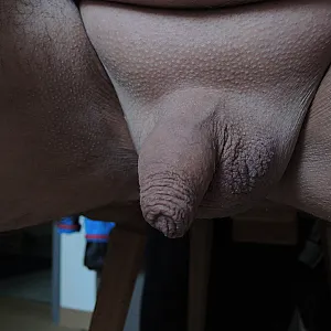 cockpics gallery image