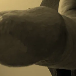 Sepia gallery image