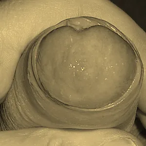 Sepia gallery image
