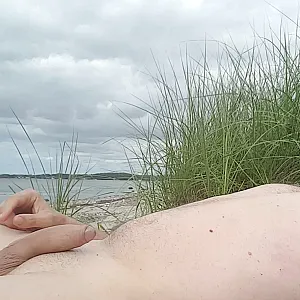 summer 2017 gallery image