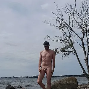 summer 2017 gallery image