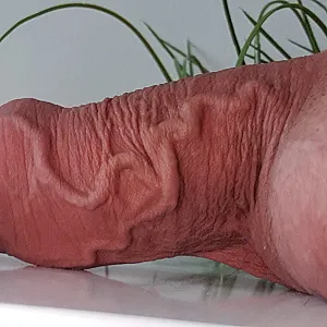 wieder mal neue Bilder Galeriebild