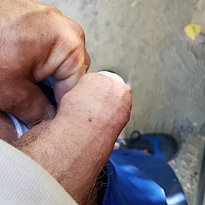 my dick gallery image