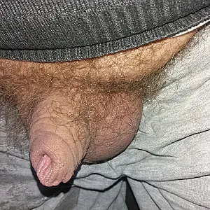 my hairy cock gallery image