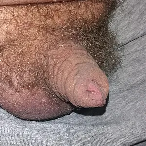 my hairy cock gallery image